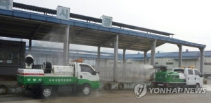 포항 기계가축시장 휴장