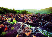 밀양 3대 신비 인증 사진 보내면 상품 제공