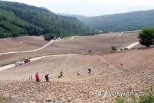 배추 모 하나하나에 일일이 물