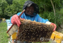 거창 꿀맛에 빠져 보세요