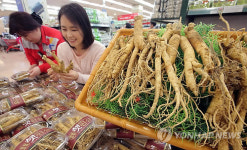 메르스 영향?…풍기인삼 매출 큰 폭 증가