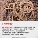  세계에서 가장 오래된 음식 5가지
