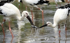예산황새공원 단체관람객 줄이어 인기몰이