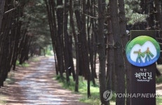 <Weekly Travel> 솔향기 맡으며 걸을 수 있는 태안 노을길