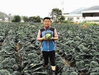 사보이 양배추 먹음직스럽죠?