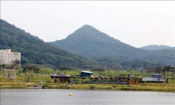 산림서 힐링을 세종에 휴양림·생태공원 잇단 조성