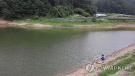 강원도 저수지서 아열대 육식어종 피라니아 발견