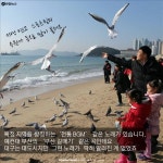 <카드뉴스> 막창같이 쫀득한 대구 사나이∼? 대프리카?