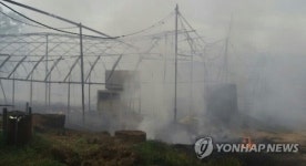 화성 양감면 양계장서 불…닭 1만5천마리 폐사