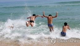 주말에 가볼 만한 곳: 강원권