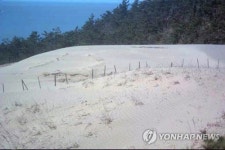 우이도 풍성 사구