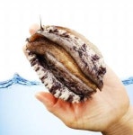 삼계탕 비켜!…올여름 보양식으로 장어·전복 뜬다