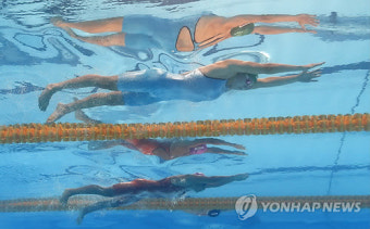 '박태환 없지만…' 한국수영 '도전! 세계선수권 결승'