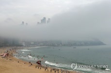 해무가 품은 해운대 달맞이
