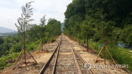 문경 자전거철로 따라 도시숲 조성