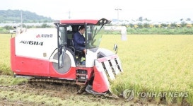 고흥 죽암농장서 벼 2기작 첫 수확