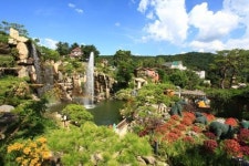 주말나들이로 지중해풍 포천 허브아일랜드 어때요