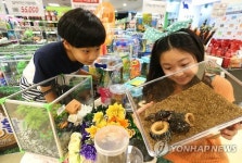 마트에서 만나는 곤충