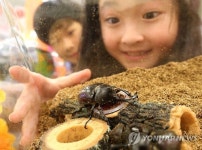 롯데마트, 방학맞은 어린이 위한 곤충세트 판매