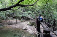 <길따라 멋따라> 계곡 따라 즐기는 트래킹