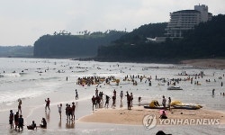 제주 중문 바다에 풍덩
