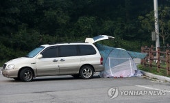 대관령은 열대야 몰라요