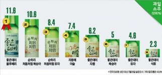 과일소주 선호도, 좋은데이 블루베리 1위