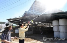 더위 식히기에 총력
