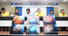 제주해군기지 해상공사 전후 연산호 군락지 변화는