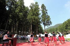 <주말 N 여행> 호남권: 음악이 흐르는 편백숲에서 힐링하세요