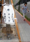 폭염 탓에 나무도 환자