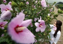 나라꽃 무궁화가 활짝