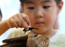 도봉구청숲 속 곤충 특별체험전