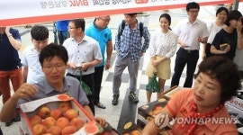 경남은행 농산물 소비 촉진 특설매장