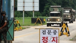 벼 베기가 코앞인데…철원, 포격 도발에 농사 걱정