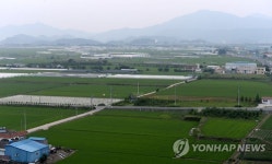 창원 대산면 들녘