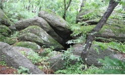 국가 산림문화자산으로 지정된 해남 관두산 풍혈