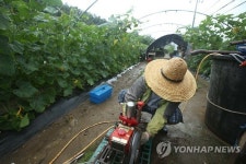 일상에 복귀한 화천 최전방 농민