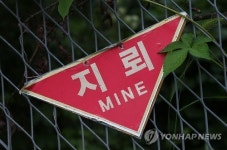 DMZ 남측 지뢰지대만 여의도 33배…북측도 급증