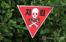 DMZ에 지뢰 100만여발…남북한, 제거 결단할 때