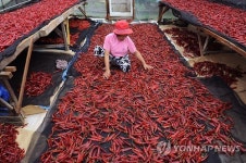 따사로운 가을…고추 말리기 좋네