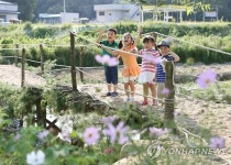 고향에 온 듯…천등산 고구마 축제장