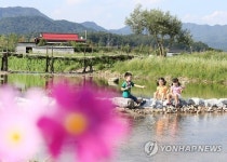 고향에 온 듯…천등산 고구마 축제장