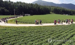 노추산 모정탑길, 느려서 더 행복한 걷기