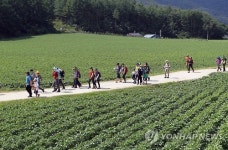 노추산 모정탑길, 느려서 더 행복한 걷기
