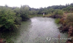 제주 토석 채취예정지서 발견된 습지