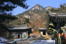  춘천 생명의 숲, 소양호 역사·문화 무료 해설