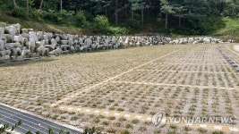 인제 자작나무숲 주차장 확충