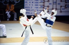 88서울올림픽대회 시범종목 태권도 경기