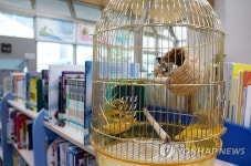 독서운동 응원하는 십자매 한 쌍